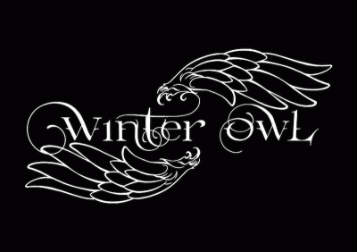 logo Winter Owl